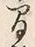 “間”字