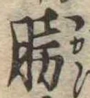 已定位勝