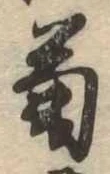 已定位菊