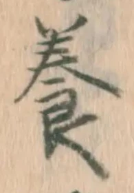 Character 養