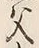 “親”字