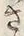 字さ