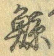 已定位鯨