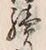Character 続