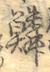 位置 確認된 鱗