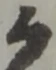 位置 確認된 植