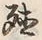 字殖