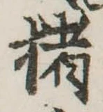 已定位猪