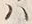 “生”字