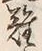 文字難