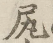 已定位尻