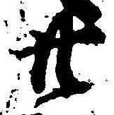 字廿