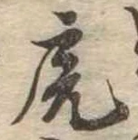 已定位虎