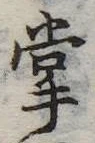 掌の位置