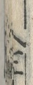 「管」字