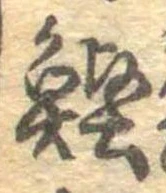 位置 確認된 鰹