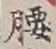 字腰