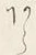 “ら”字