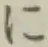 文字に