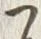 𡨸義