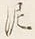Character は