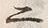 字二