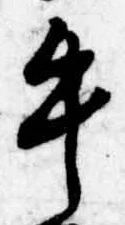 位置定マレル牛