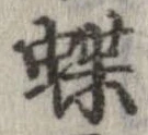 位置定マレル蝶