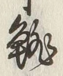 Character 鯛