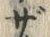 “ザ”字