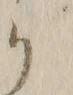 字ア