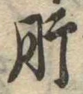 已定位肝