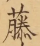 “藤”字