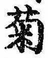 已定位菊
