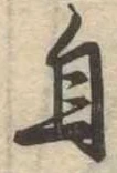 自の位置