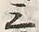 𡨸箇