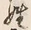 字姓
