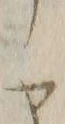 字ア