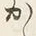𡨸か