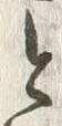 𡨸と