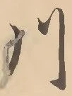 「川」字