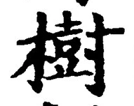 「樹」字