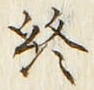 Chữ 終