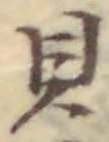文字貝