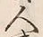 𡨸共