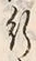 文字行