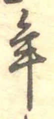 位置 確認된 年