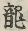 已定位龍