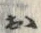 「お」字