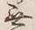 「無」字